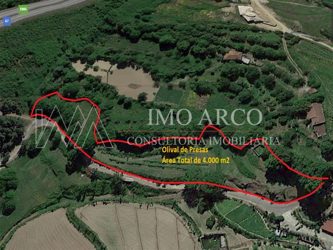 Terreno Agricola ou Rústico para Venda em Faia Foto 1