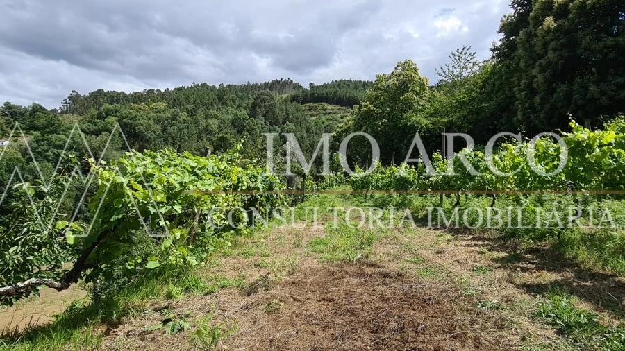 Terreno Agricola ou Rústico para Venda em Faia