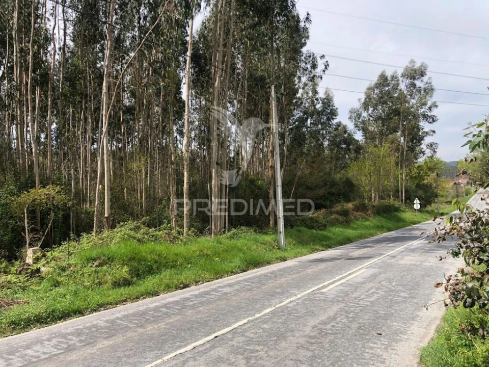 Terreno para Venda em Vilarinho Foto 2