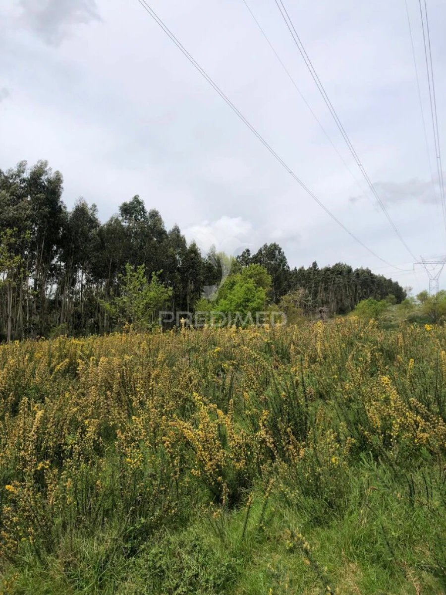 Terreno para Venda em Vilarinho Foto 5
