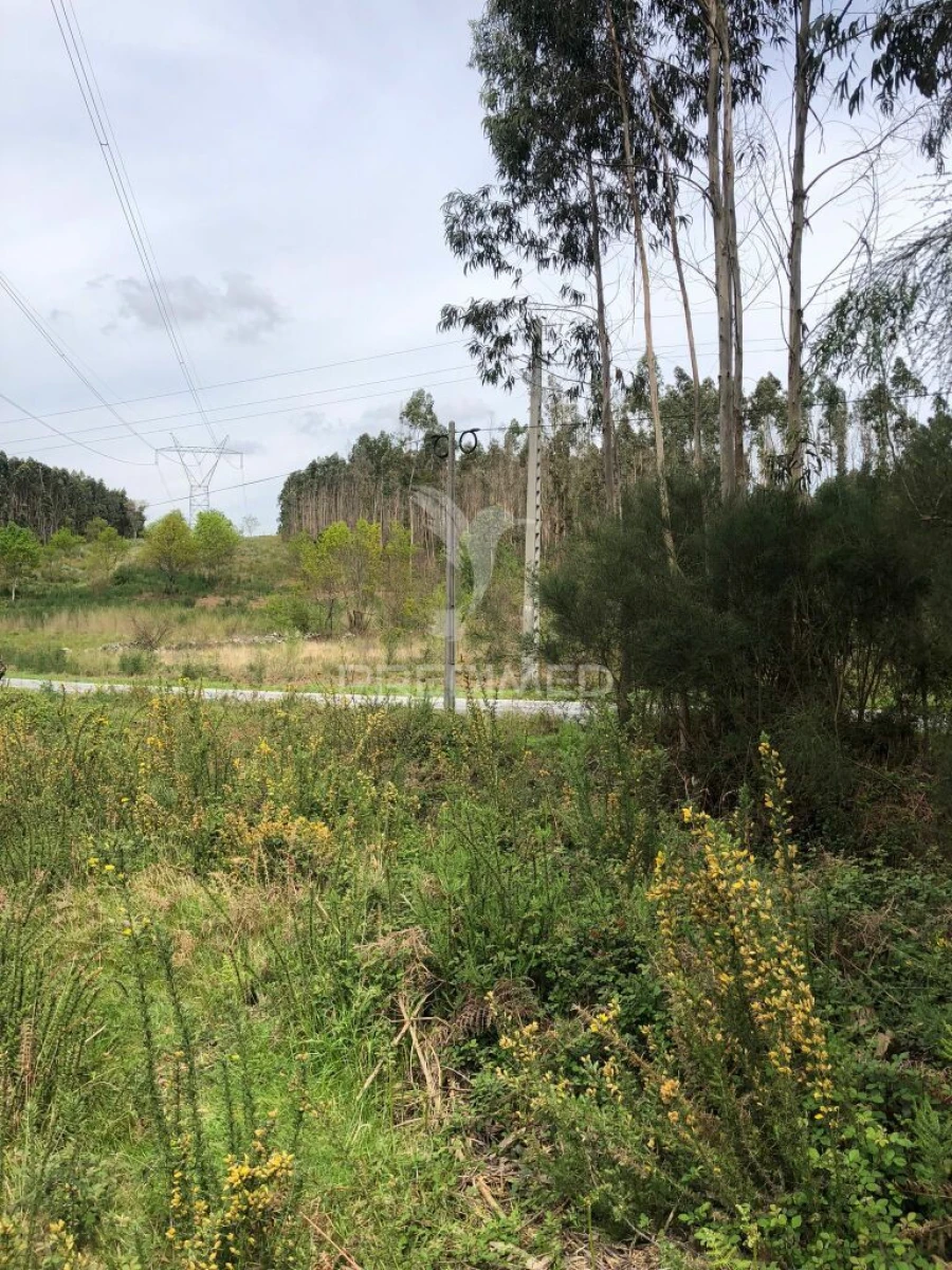 Terreno para Venda em Vilarinho Foto 6