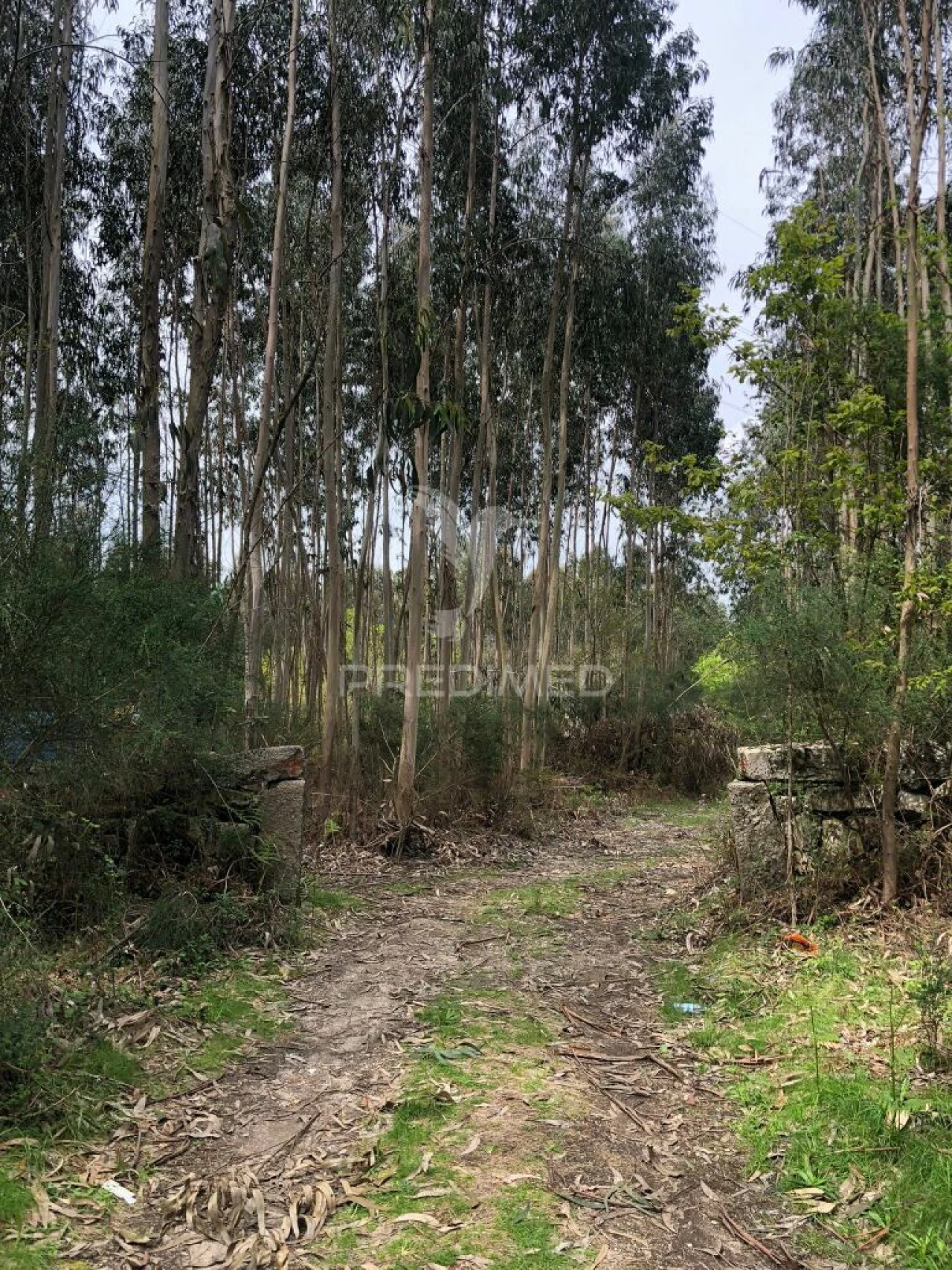 Terreno para Venda em Vilarinho Foto 4