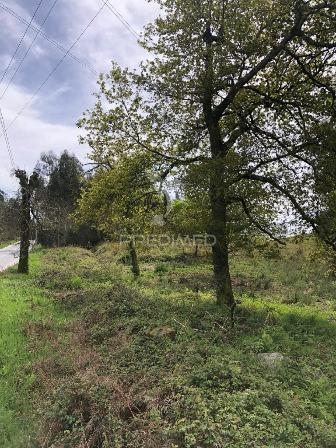Terreno para Venda em Vilarinho Foto 3