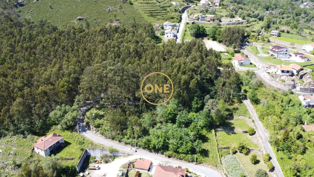 Terreno para Venda em Vade Foto 20