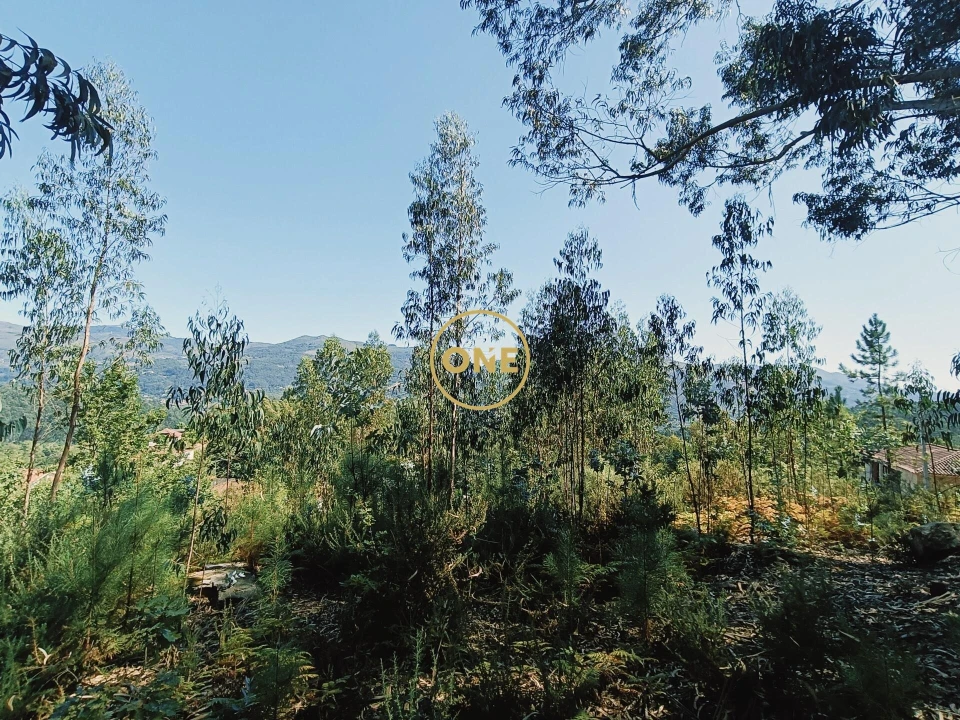 Terreno para Venda em Vade Foto 7