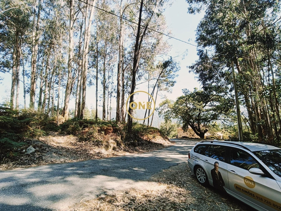 Terreno para Venda em Vade Foto 9