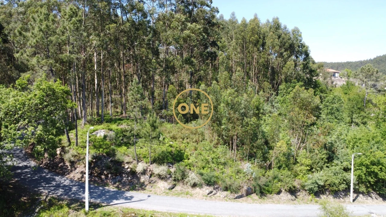 Terreno para Venda em Vade Foto 27