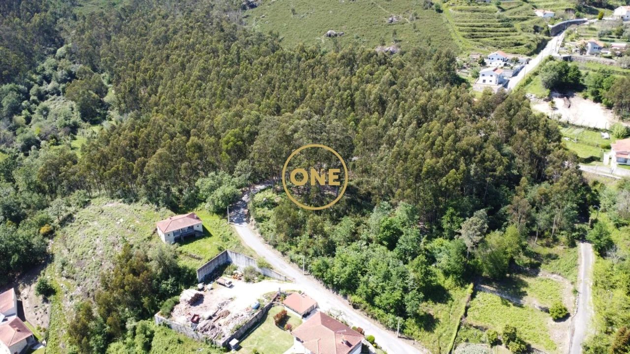 Terreno para Venda em Vade Foto 21