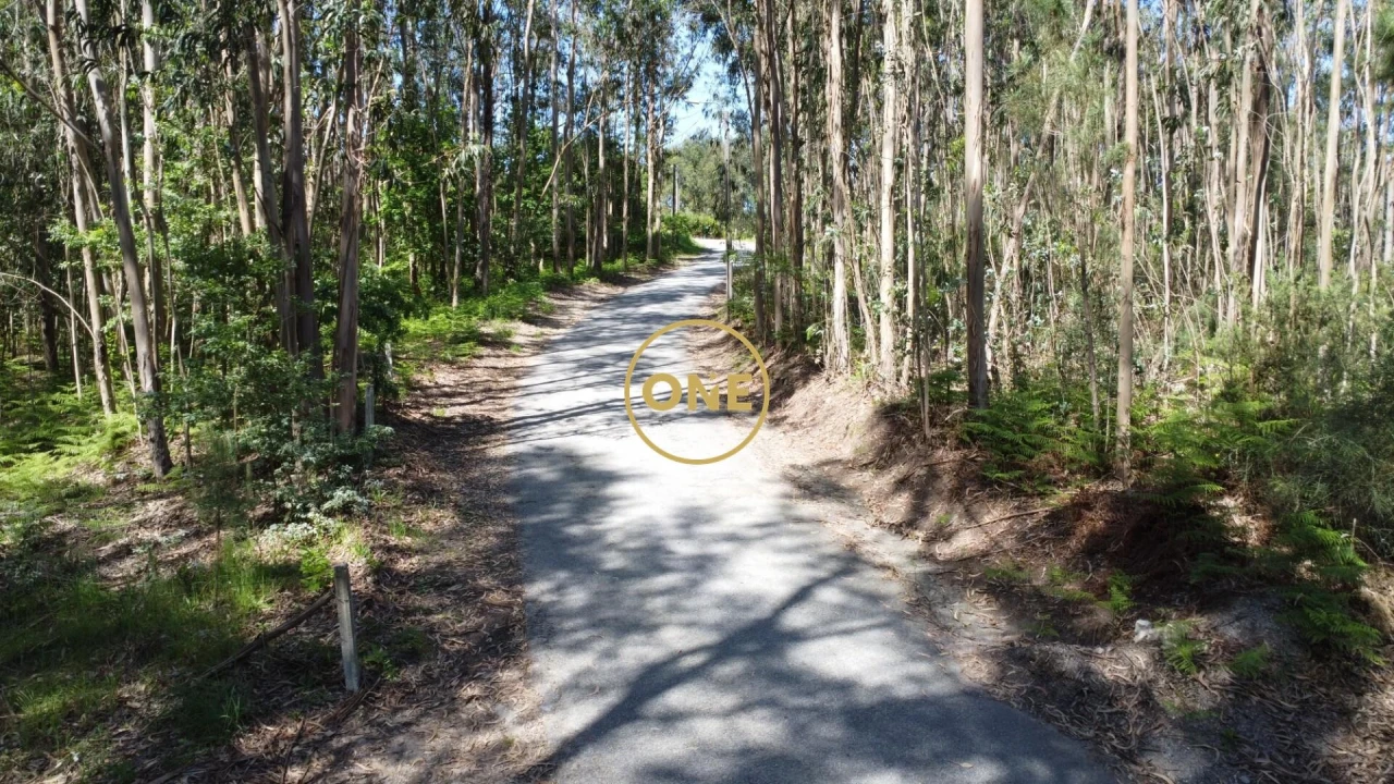 Terreno para Venda em Vade Foto 29