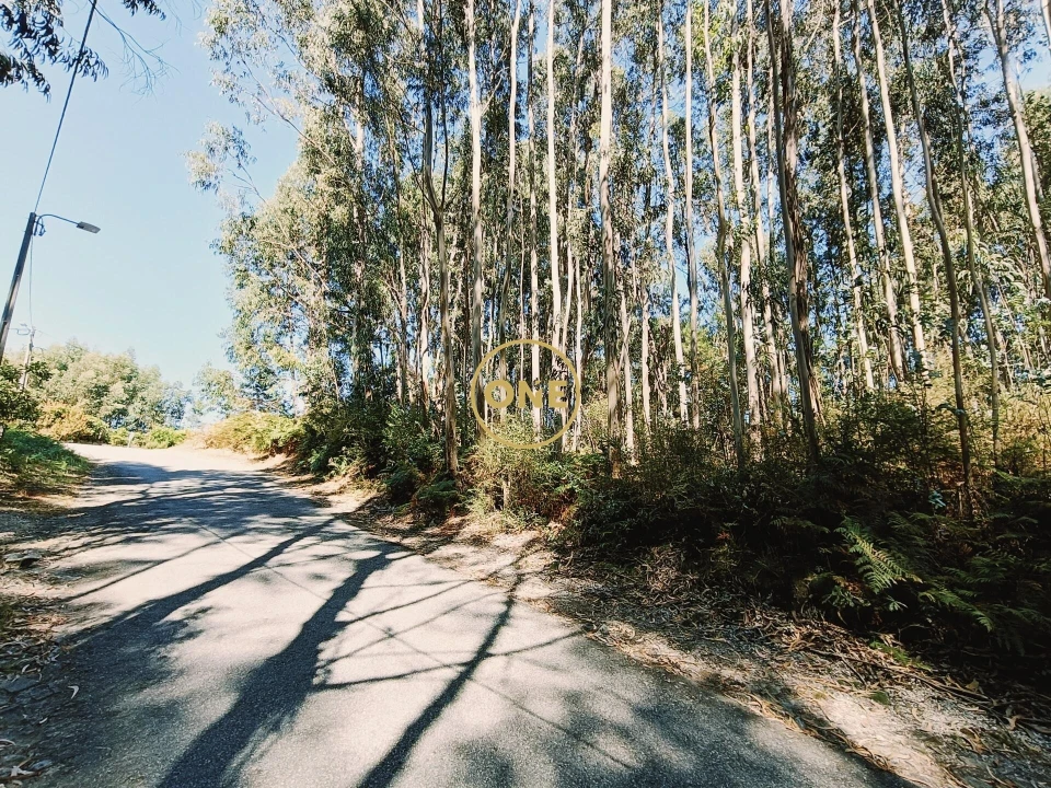 Terreno para Venda em Vade Foto 14