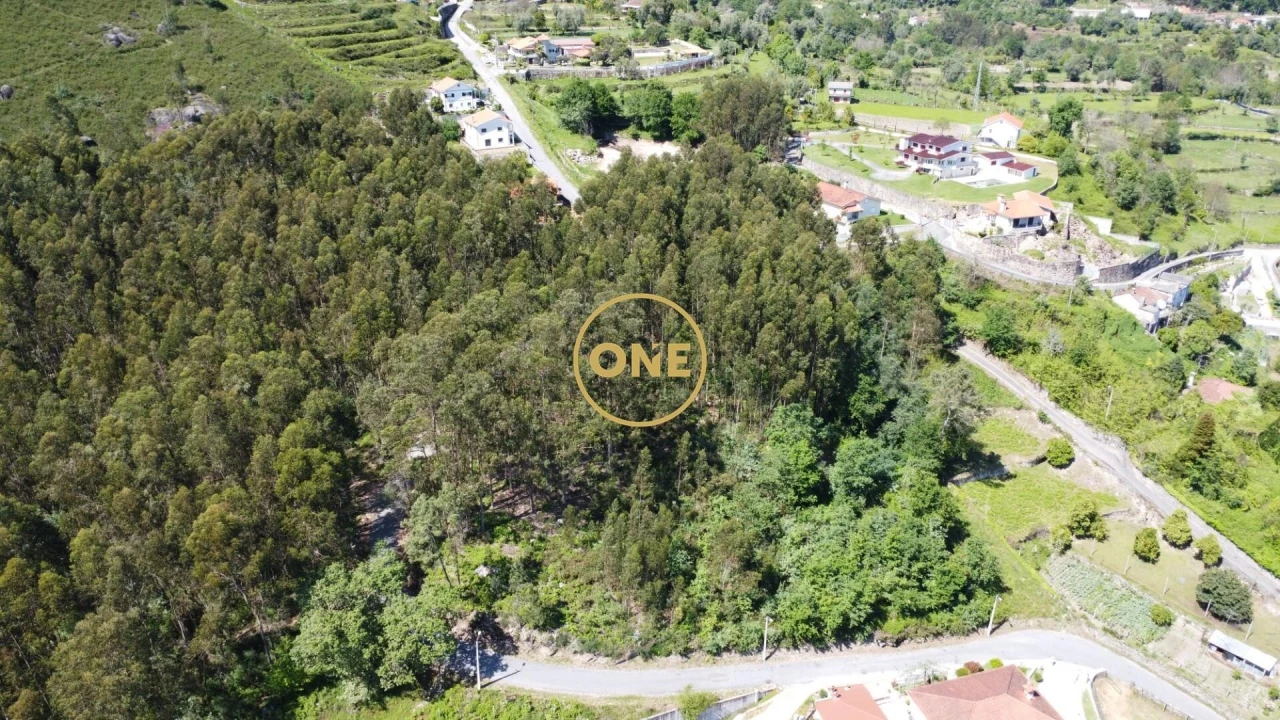 Terreno para Venda em Vade Foto 19