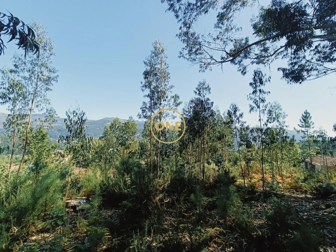 Terreno para Venda em Vade Foto 7