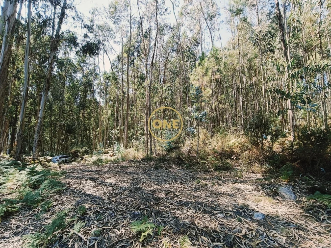 Terreno para Venda em Vade Foto 8