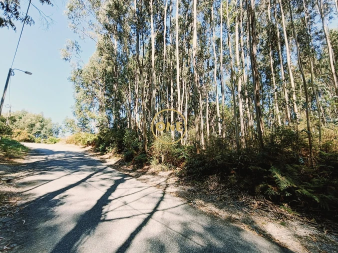 Terreno para Venda em Vade Foto 14