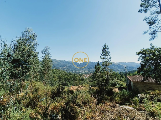 Terreno para Venda em Vade Foto 12