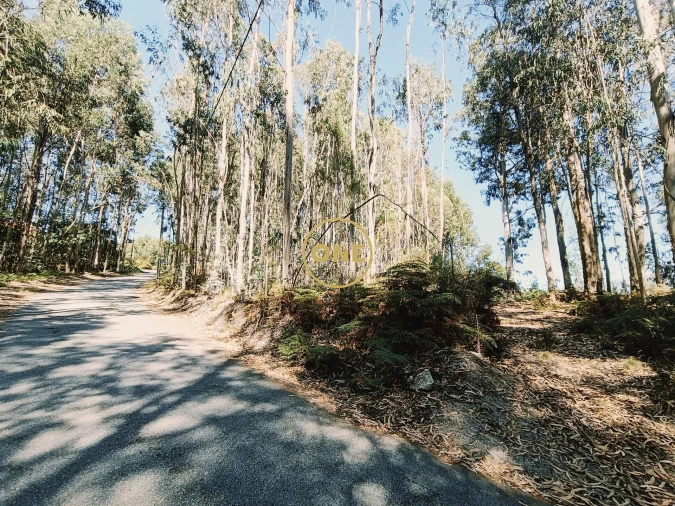 Terreno para Venda em Vade Foto 10