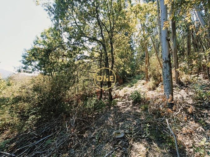 Terreno para Venda em Vade Foto 4