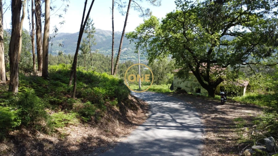 Terreno para Venda em Vade Foto 30