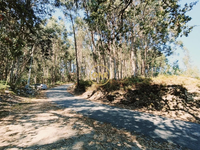 Terreno para Venda em Vade Foto 16