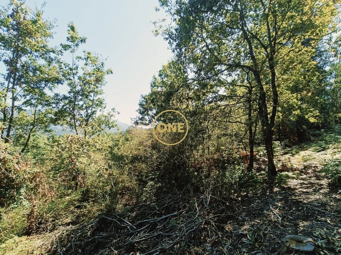 Terreno para Venda em Vade Foto 3