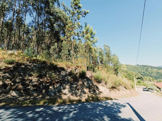 Terreno para Venda em Vade Foto 17