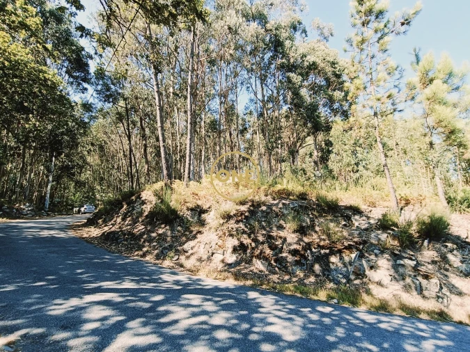 Terreno para Venda em Vade