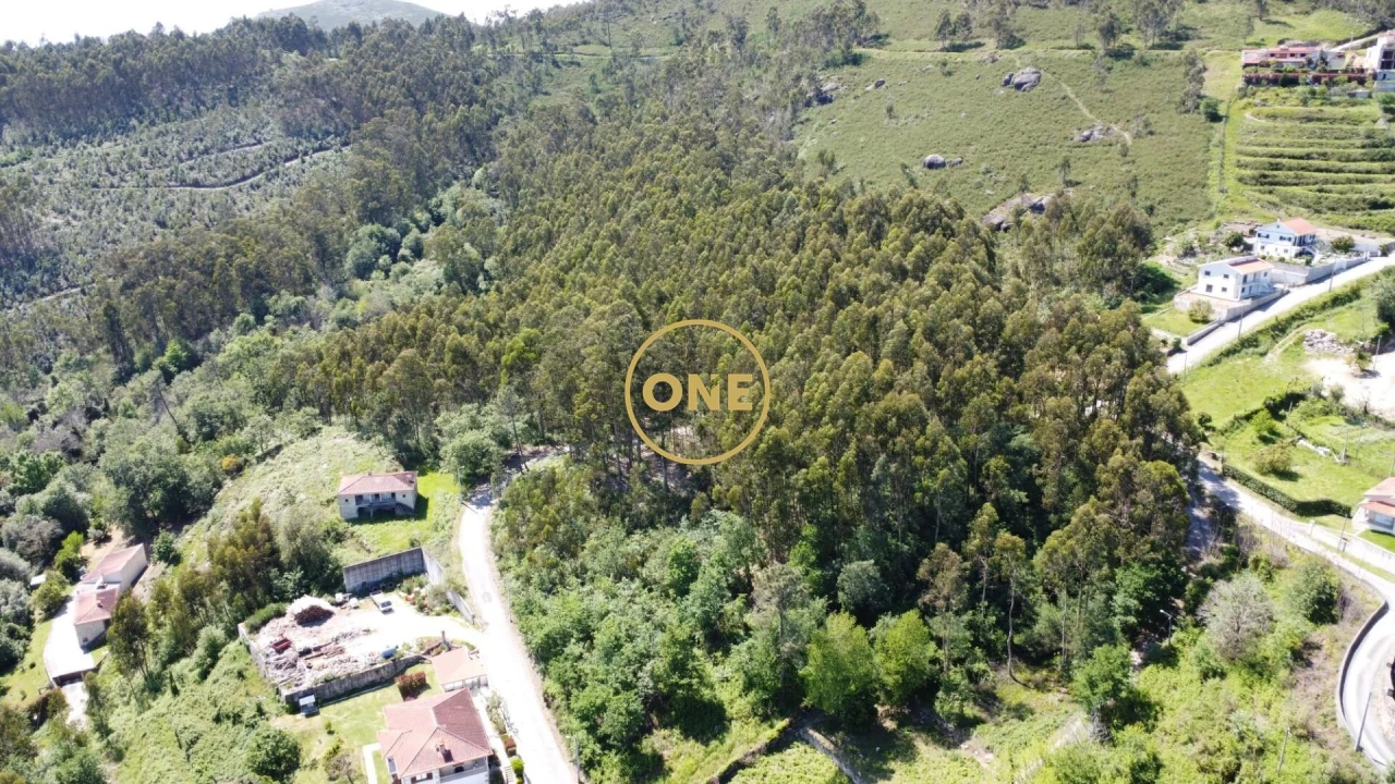 Terreno para Venda em Vade Foto 22