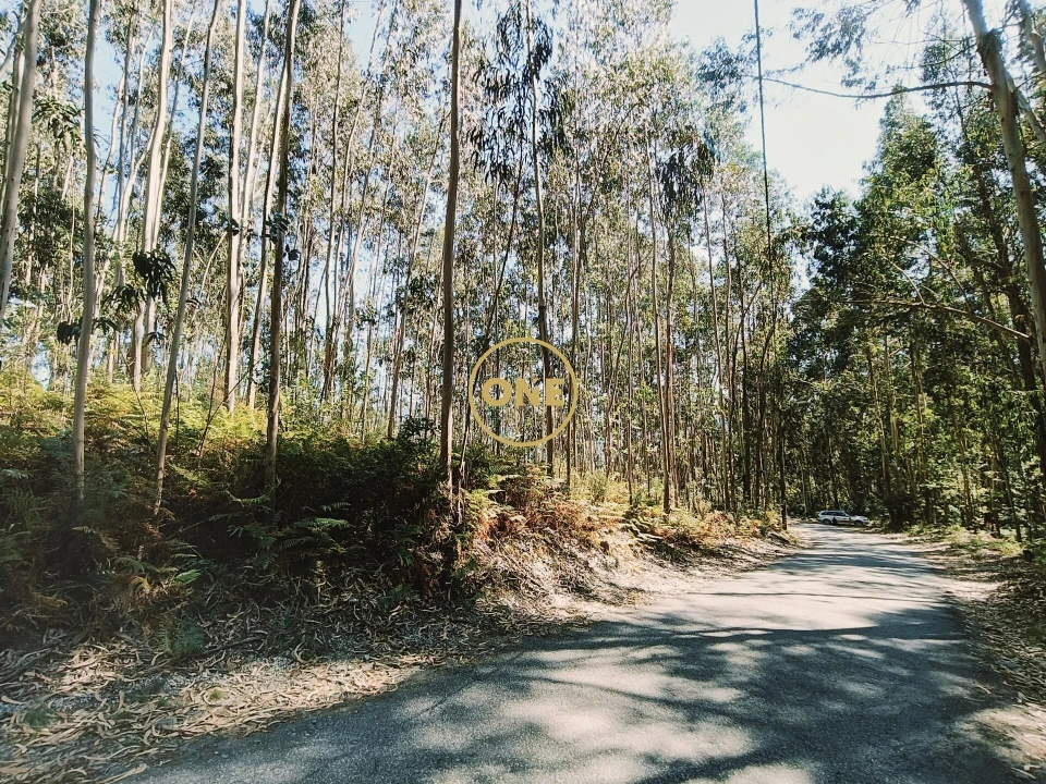 Terreno para Venda em Vade Foto 15