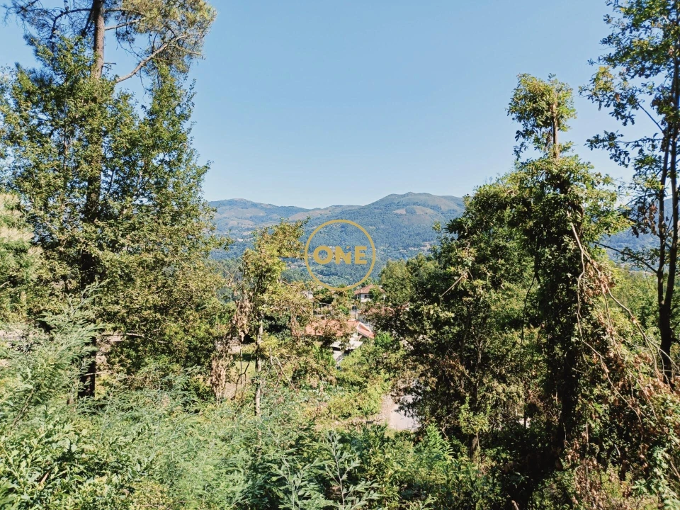 Terreno para Venda em Vade Foto 2