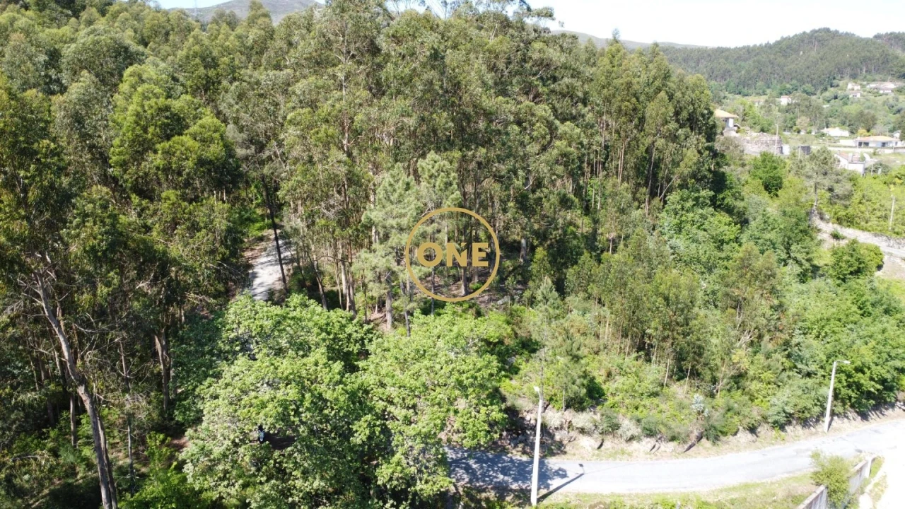 Terreno para Venda em Vade Foto 28