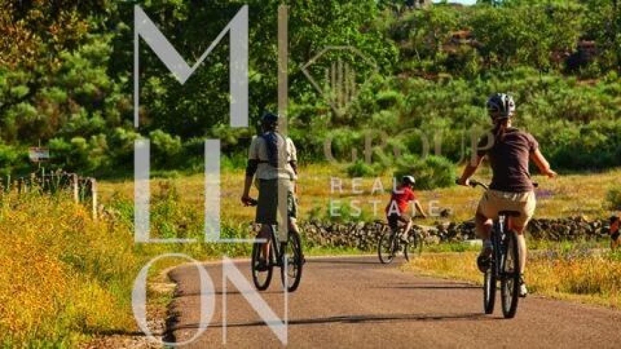 Moradia T3 para Venda em Santa Maria e São Miguel, São Martinho, São Pedro Penaferrim Foto 36