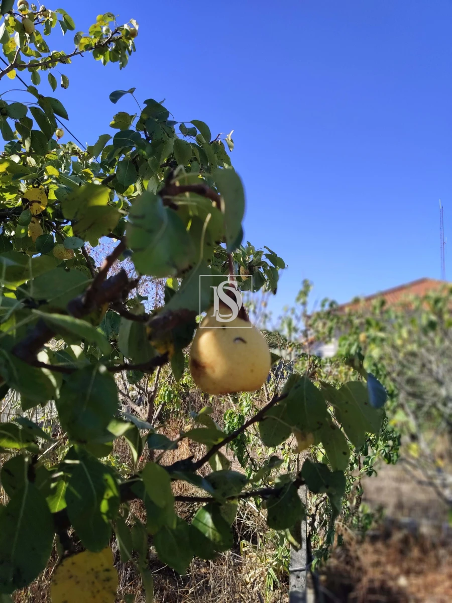 Armazém para Venda em Riachos Foto 6