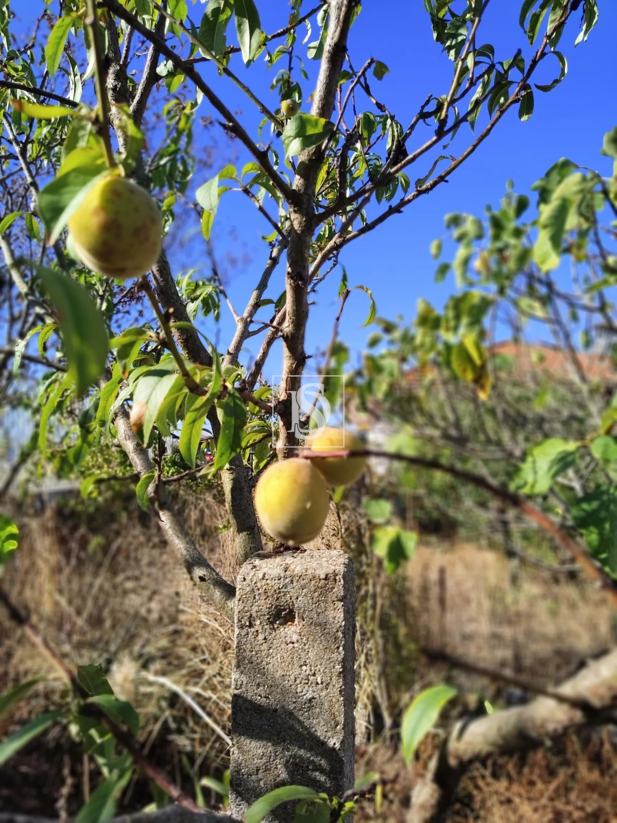 Armazém para Venda em Riachos Foto 5