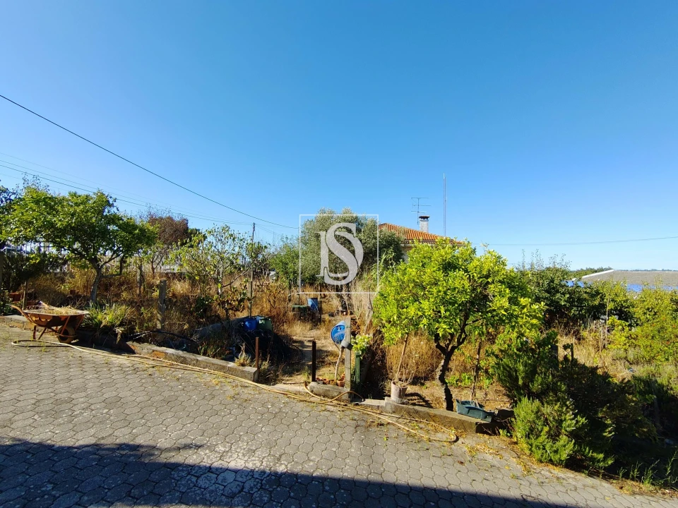 Armazém para Venda em Riachos Foto 8