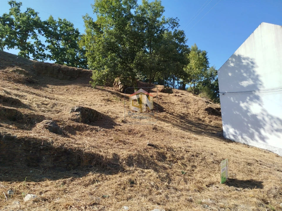 Terreno Agricola ou Rústico para Venda em Sabugal e Aldeia de Santo António Foto 15