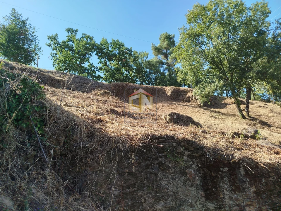 Terreno Agricola ou Rústico para Venda em Sabugal e Aldeia de Santo António Foto 12