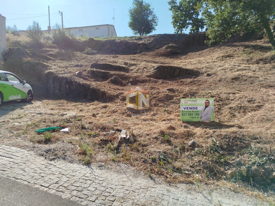 Terreno Agricola ou Rústico para Venda em Sabugal e Aldeia de Santo António Foto 14