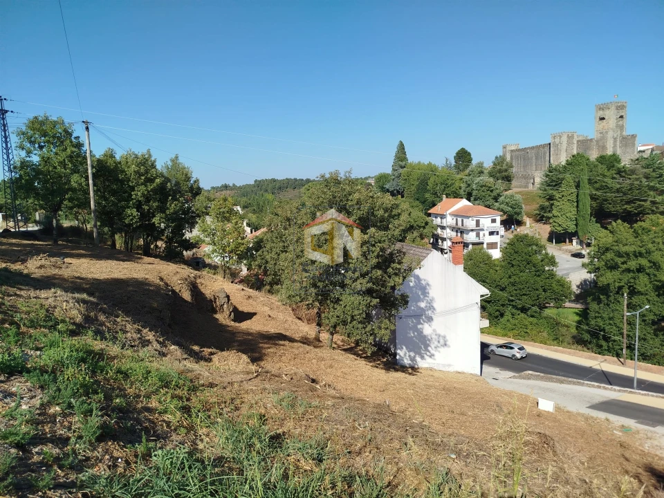 Terreno Agricola ou Rústico para Venda em Sabugal e Aldeia de Santo António Foto 2