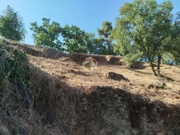 Terreno Agricola ou Rústico para Venda em Sabugal e Aldeia de Santo António