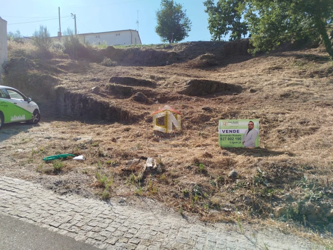 Terreno Agricola ou Rústico para Venda em Sabugal e Aldeia de Santo António Foto 14