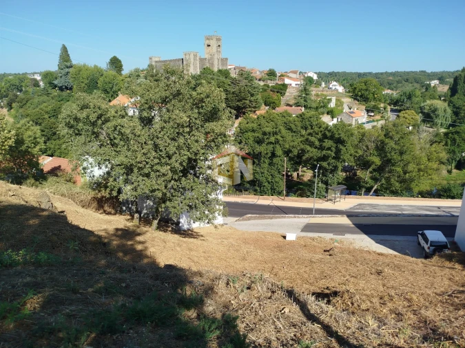 Terreno Agricola ou Rústico para Venda em Sabugal e Aldeia de Santo António Foto 6