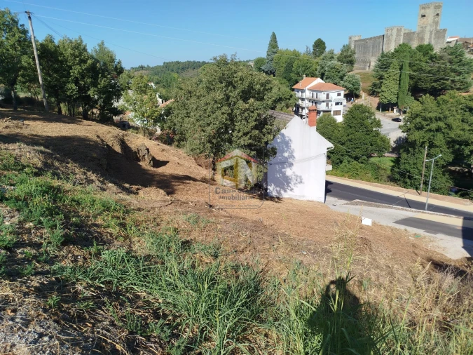 Terreno Agricola ou Rústico para Venda em Sabugal e Aldeia de Santo António Foto 3