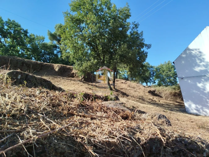 Terreno Agricola ou Rústico para Venda em Sabugal e Aldeia de Santo António Foto 10