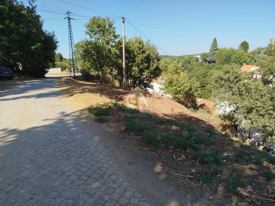 Terreno Agricola ou Rústico para Venda em Sabugal e Aldeia de Santo António Foto 4