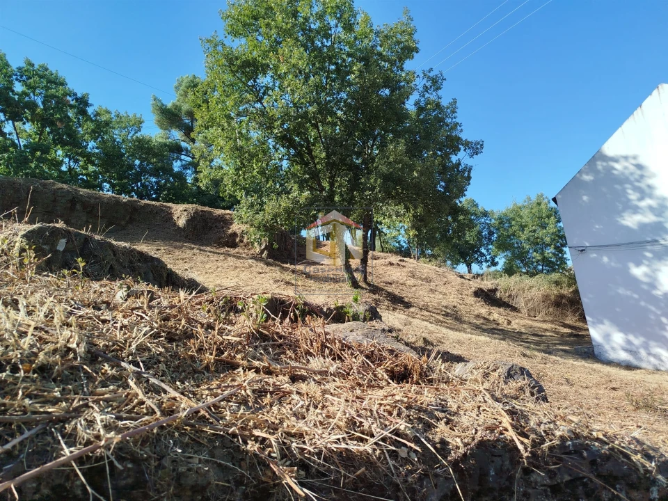Terreno Agricola ou Rústico para Venda em Sabugal e Aldeia de Santo António Foto 10