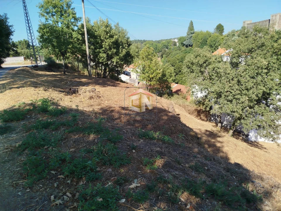 Terreno Agricola ou Rústico para Venda em Sabugal e Aldeia de Santo António Foto 9