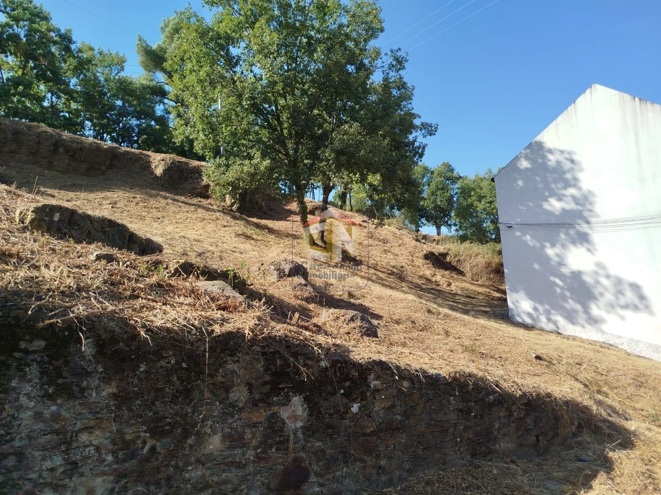 Terreno Agricola ou Rústico para Venda em Sabugal e Aldeia de Santo António Foto 13
