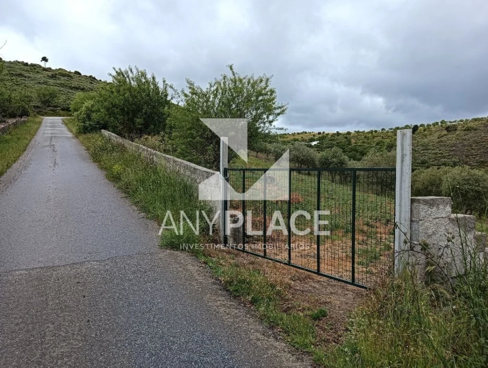 Terreno Agricola ou Rústico para Venda em Vila Nova de Foz Côa Foto 8