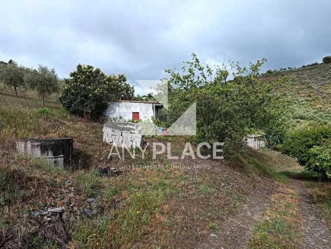 Terreno Agricola ou Rústico para Venda em Vila Nova de Foz Côa Foto 11