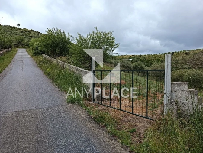 Terreno Agricola ou Rústico para Venda em Vila Nova de Foz Côa Foto 1